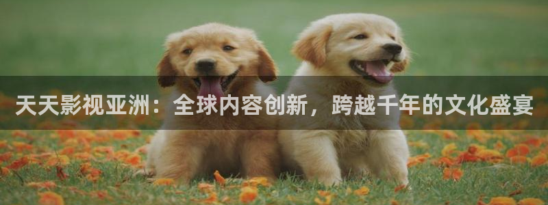 叛逆者电视剧全集免费观看星辰影院