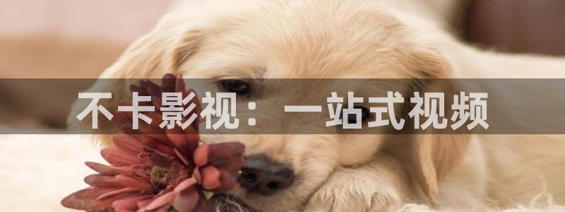 小小水蜜桃电视剧在线观看星辰影院